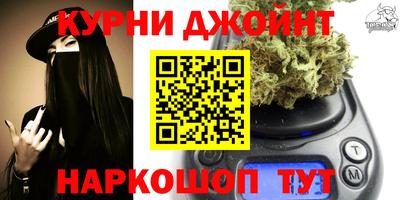 прущие крисы Камышлов