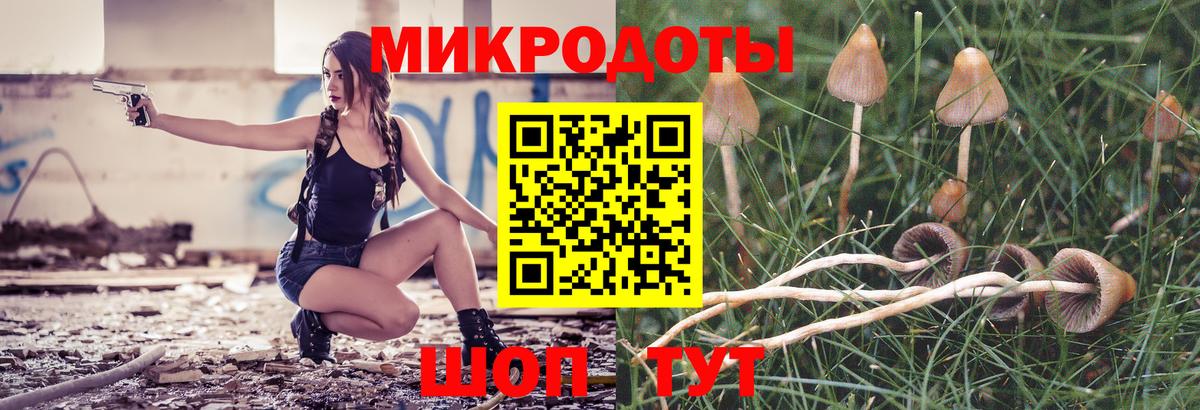 Каменка  Псилоцибиновые грибы Psilocybine cubensis  Вход с VPN 