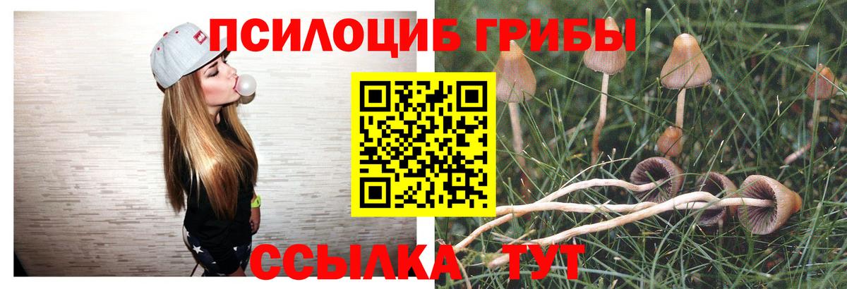 Галлюциногенные грибы ЛСД Каменка