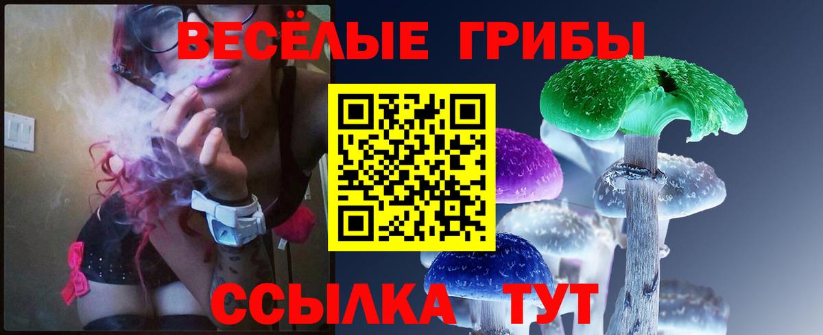 Меф мяу мяу Каменка