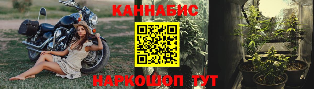 Каменка  Бошки марихуана Amnesia  Вход с VPN  Бошки Шишки гибрид 